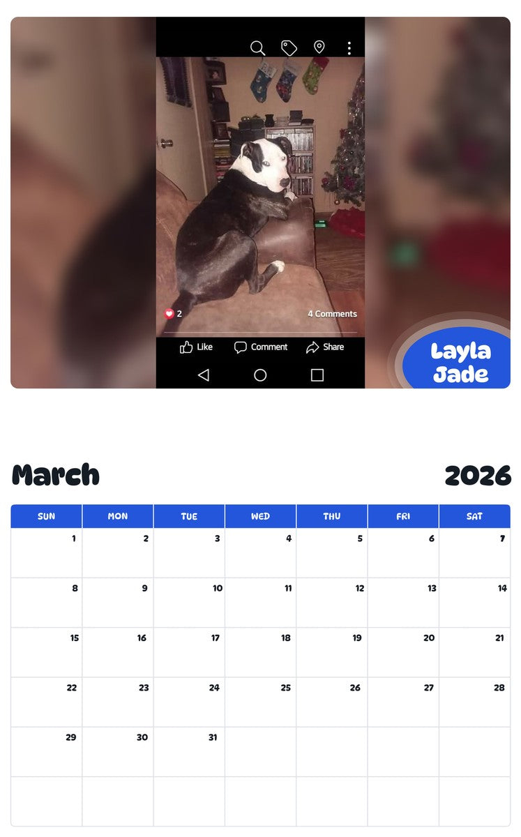 November 2025 - October 2026 Layla Jade - Pawidols Pet Calendar