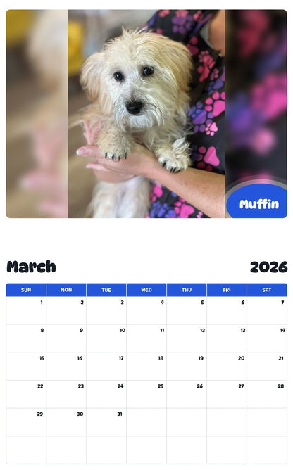 November 2025 - October 2026 Muffin - Pawidols Pet Calendar