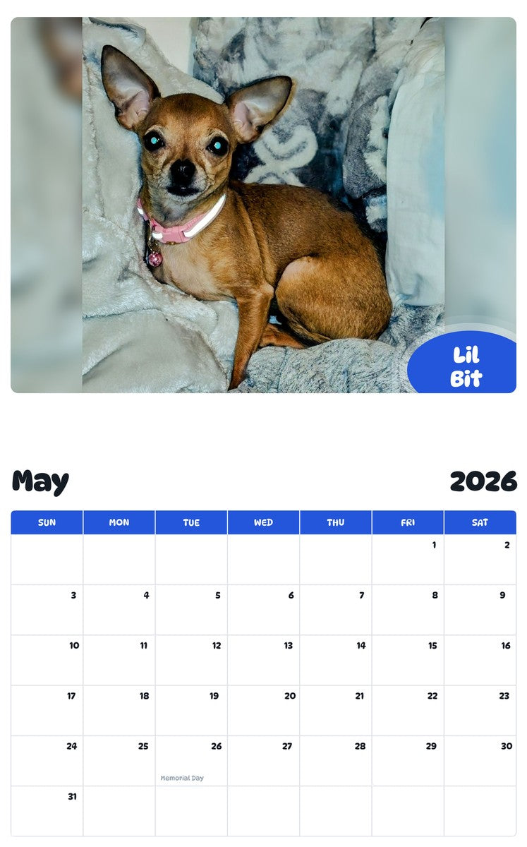 2026 - 2027 Lil Bit - Pawidols Pet Calendar