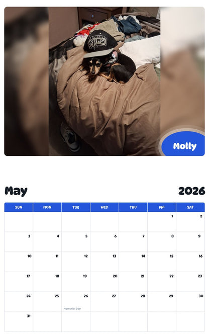 2026 - 2027 Molly - Pawidols Pet Calendar