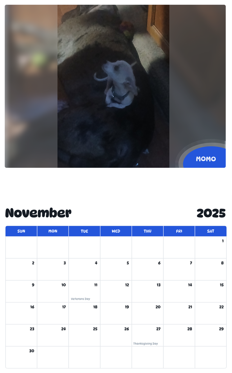 July 2025 - June 2026 Momo - Pawidols Pet Calendar