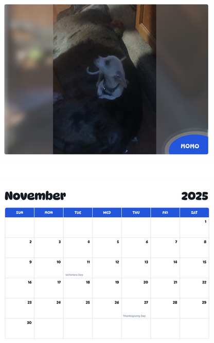 July 2025 - June 2026 Momo - Pawidols Pet Calendar