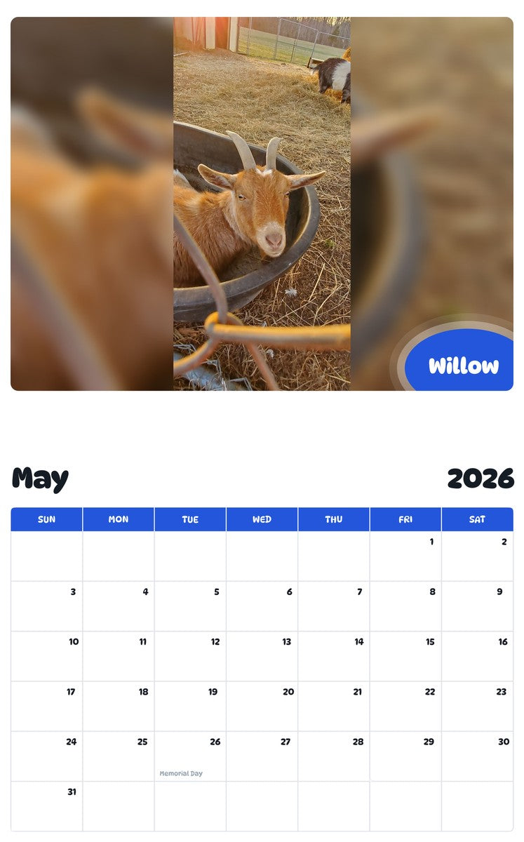 2026 - 2027 Willow - Pawidols Pet Calendar