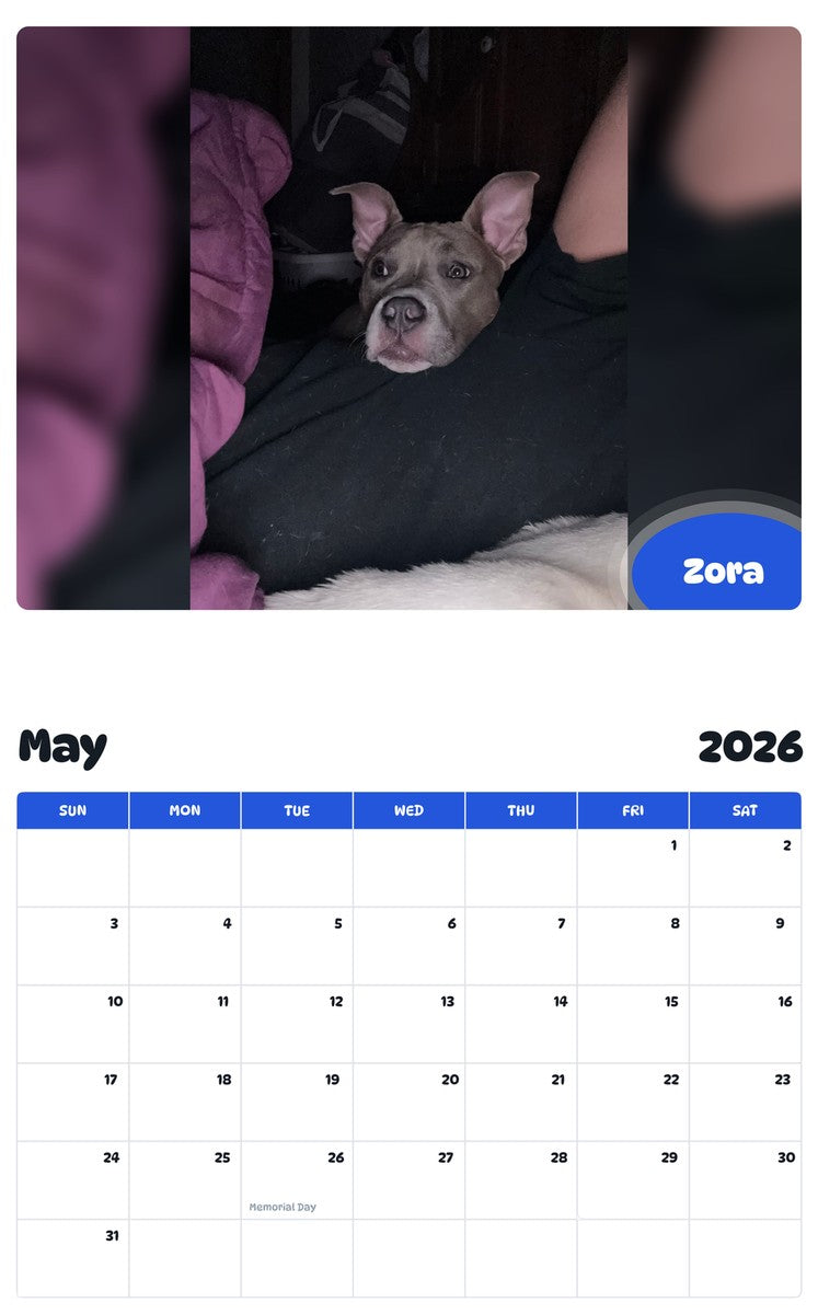2026 - 2027 Zora - Pawidols Pet Calendar