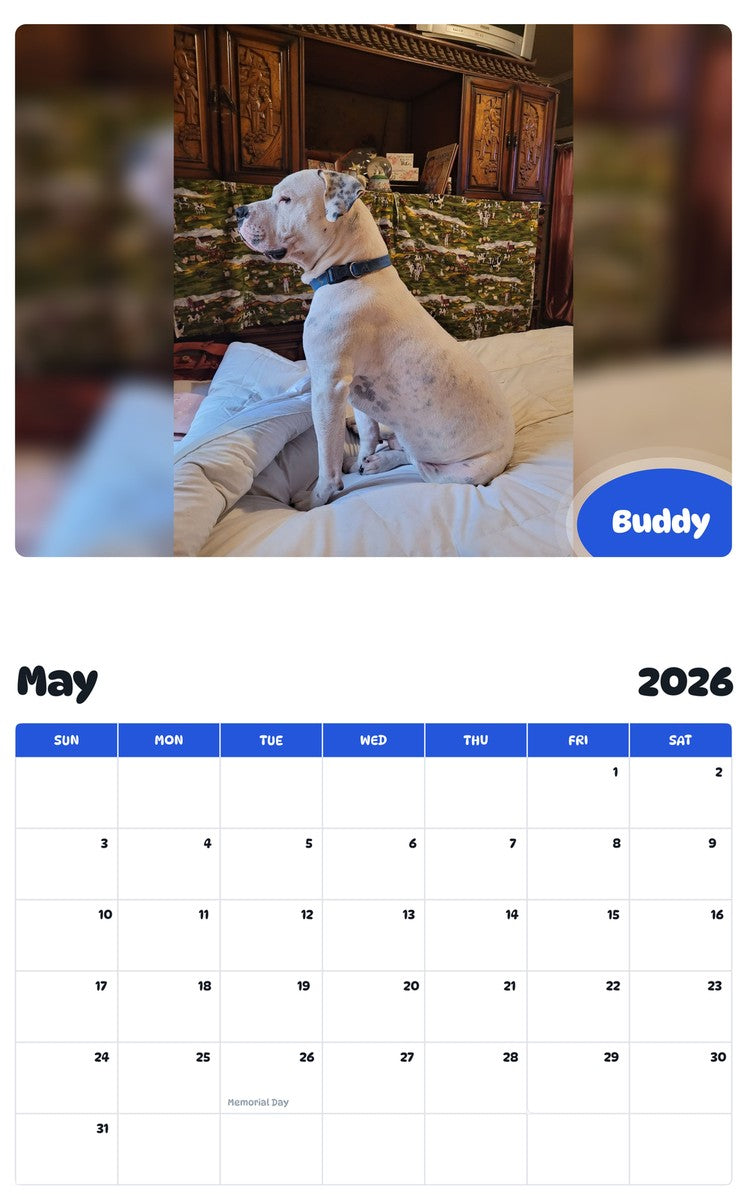 2026 - 2027 Buddy - Pawidols Pet Calendar