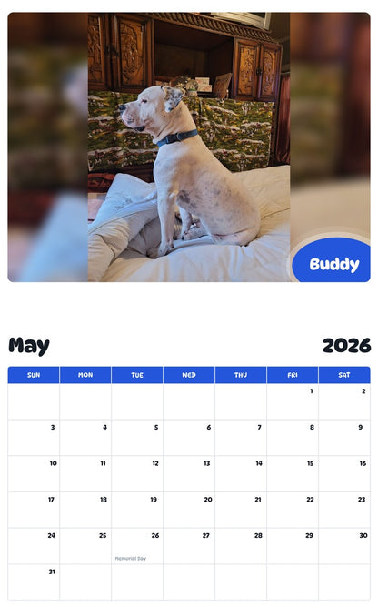 2026 - 2027 Buddy - Pawidols Pet Calendar
