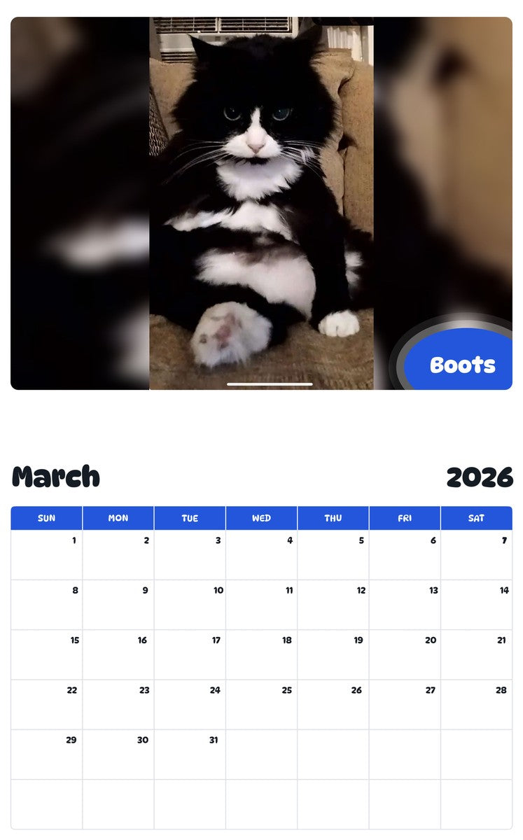 November 2025 - October 2026 Boots - Pawidols Pet Calendar