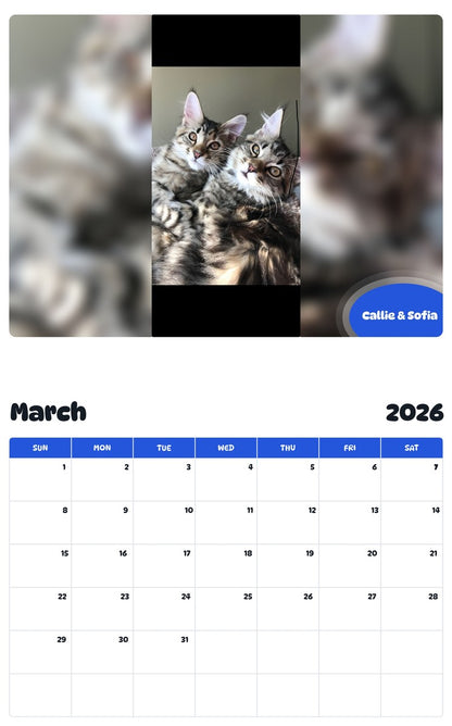 November 2025 - October 2026 Callie & Sofia - Pawidols Pet Calendar