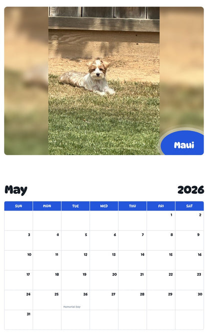 2026 - 2027 Maui - Pawidols Pet Calendar