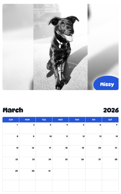 November 2025 - October 2026 Missy - Pawidols Pet Calendar