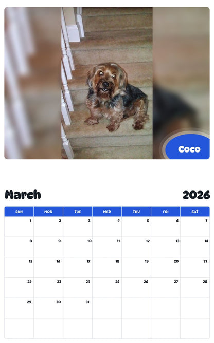 November 2025 - October 2026 Coco - Pawidols Pet Calendar