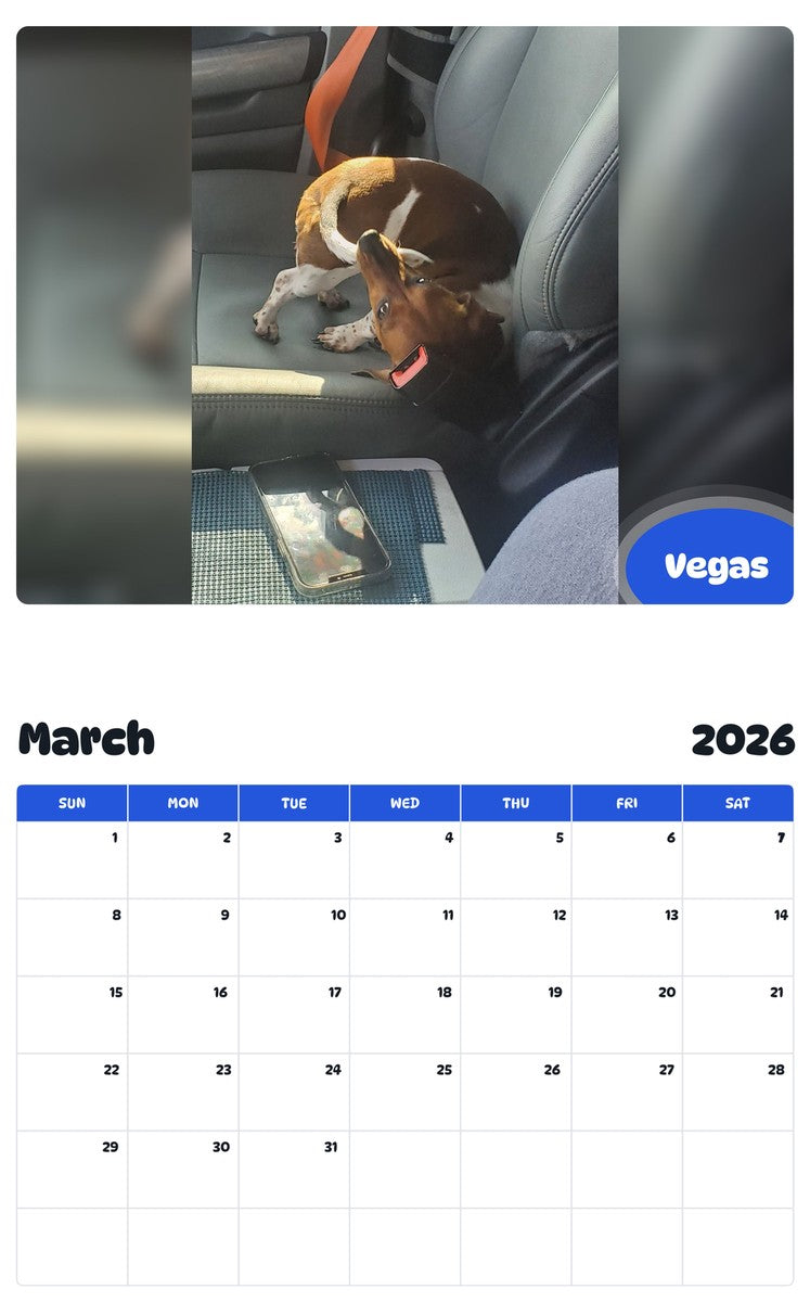November 2025 - October 2026 Vegas - Pawidols Pet Calendar