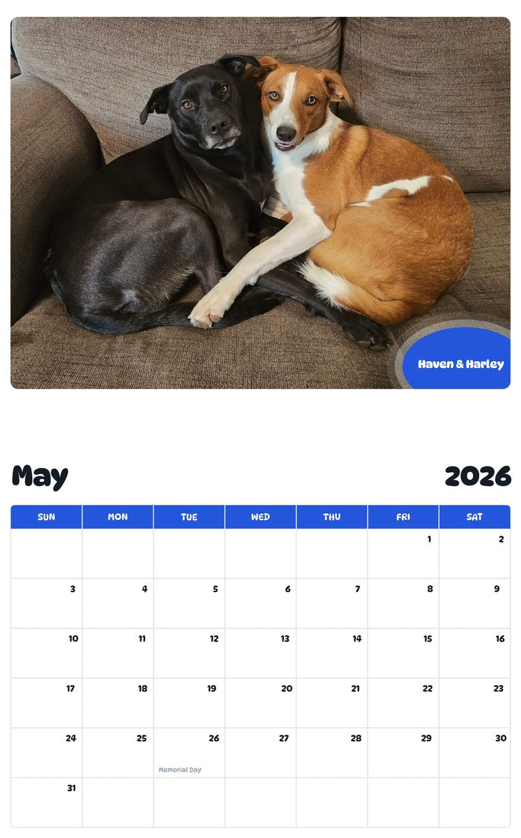 2026 - 2027 Haven & Harley - Pawidols Pet Calendar