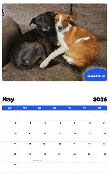 2026 - 2027 Haven & Harley - Pawidols Pet Calendar