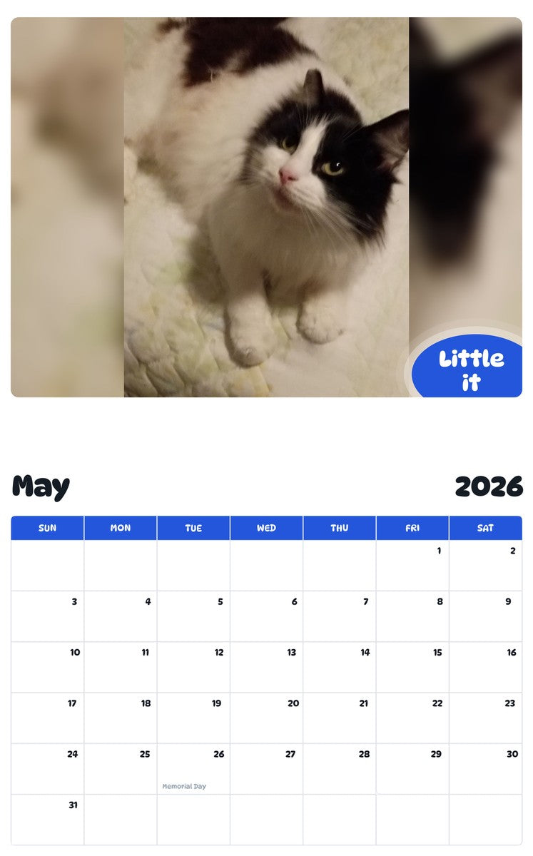 2026 - 2027 Little it - Pawidols Pet Calendar