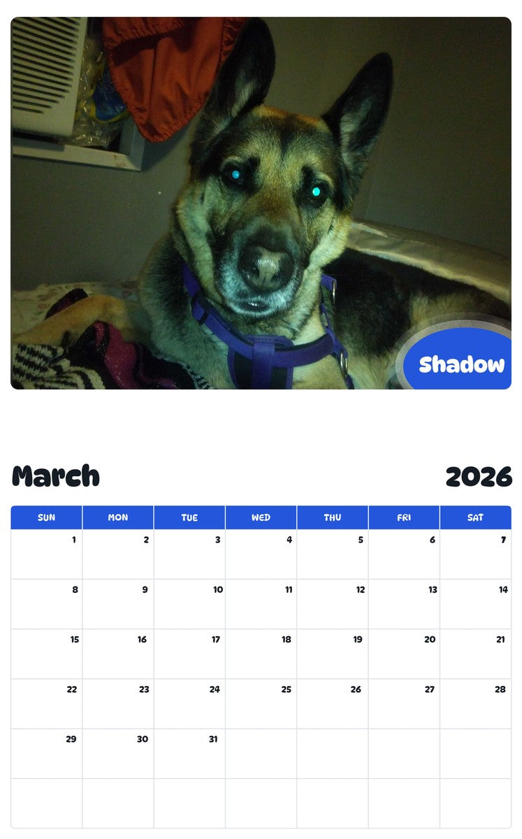 November 2025 - October 2026 Shadow - Pawidols Pet Calendar