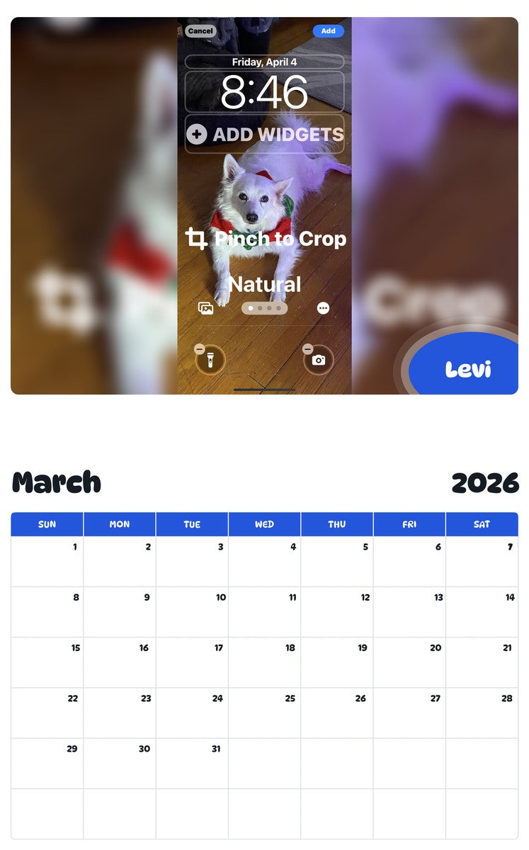 November 2025 - October 2026 Levi - Pawidols Pet Calendar