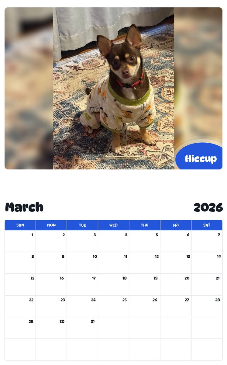 November 2025 - October 2026 Hiccup - Pawidols Pet Calendar