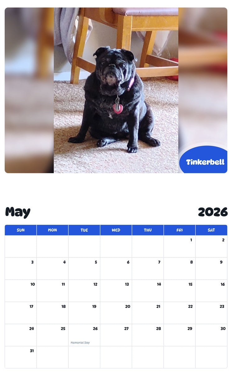 2026 - 2027 Tinkerbell - Pawidols Pet Calendar