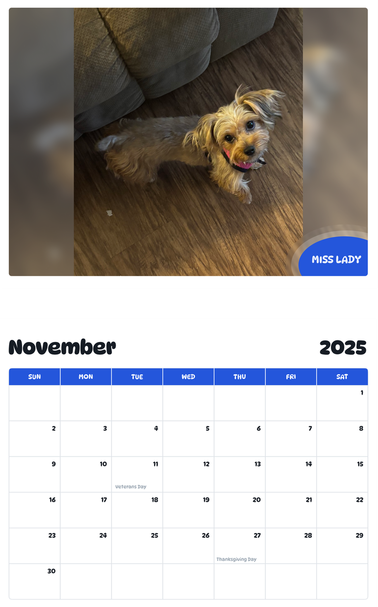 July 2025 - June 2026 Miss Lady - Pawidols Pet Calendar