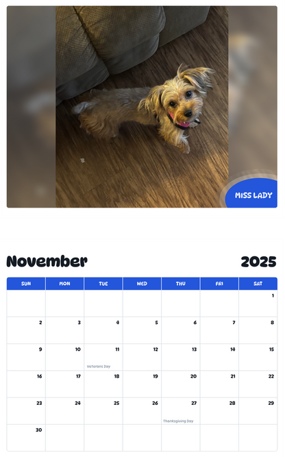 July 2025 - June 2026 Miss Lady - Pawidols Pet Calendar