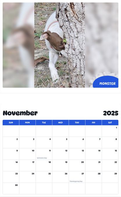 July 2025 - June 2026 Monster - Pawidols Pet Calendar