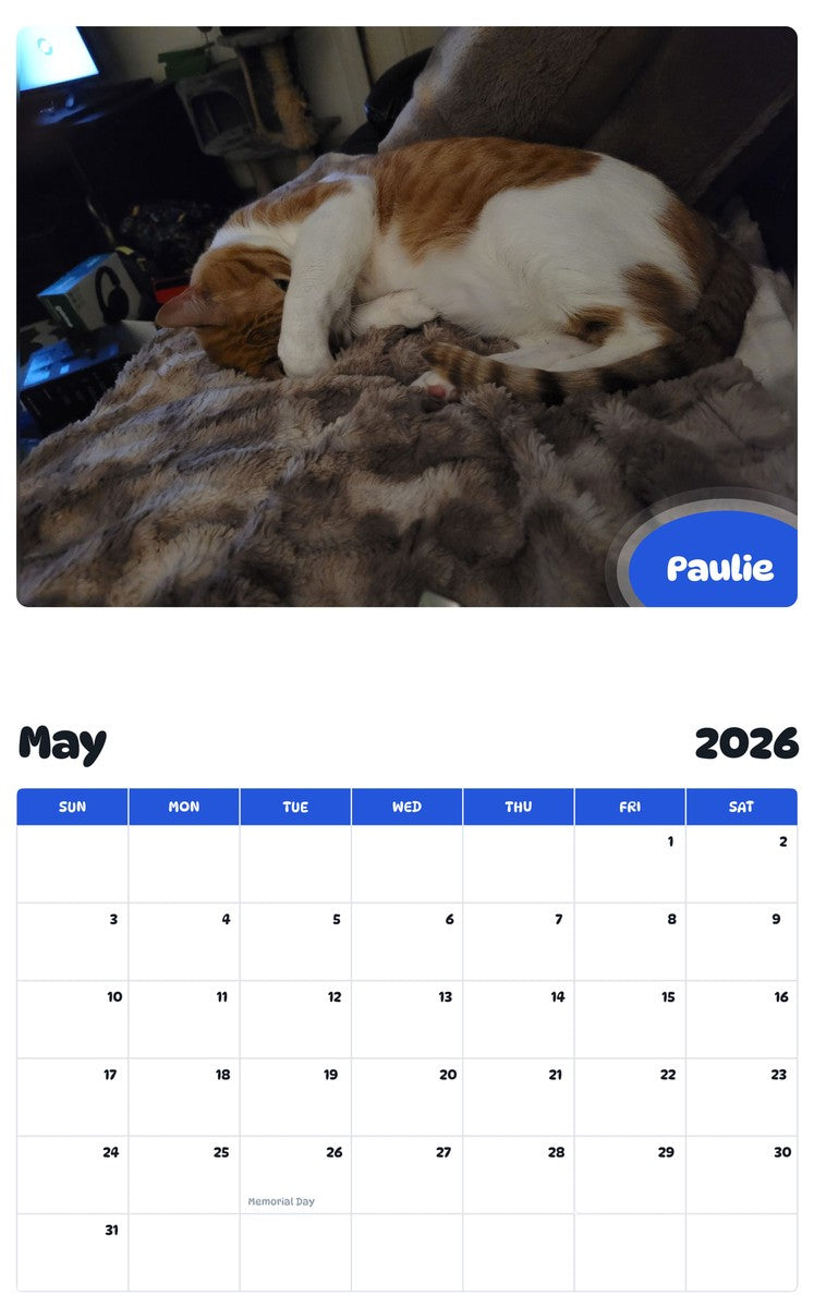 2026 - 2027 Paulie - Pawidols Pet Calendar