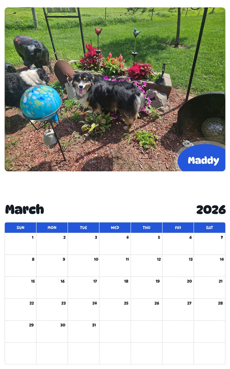 November 2025 - October 2026 Maddy - Pawidols Pet Calendar