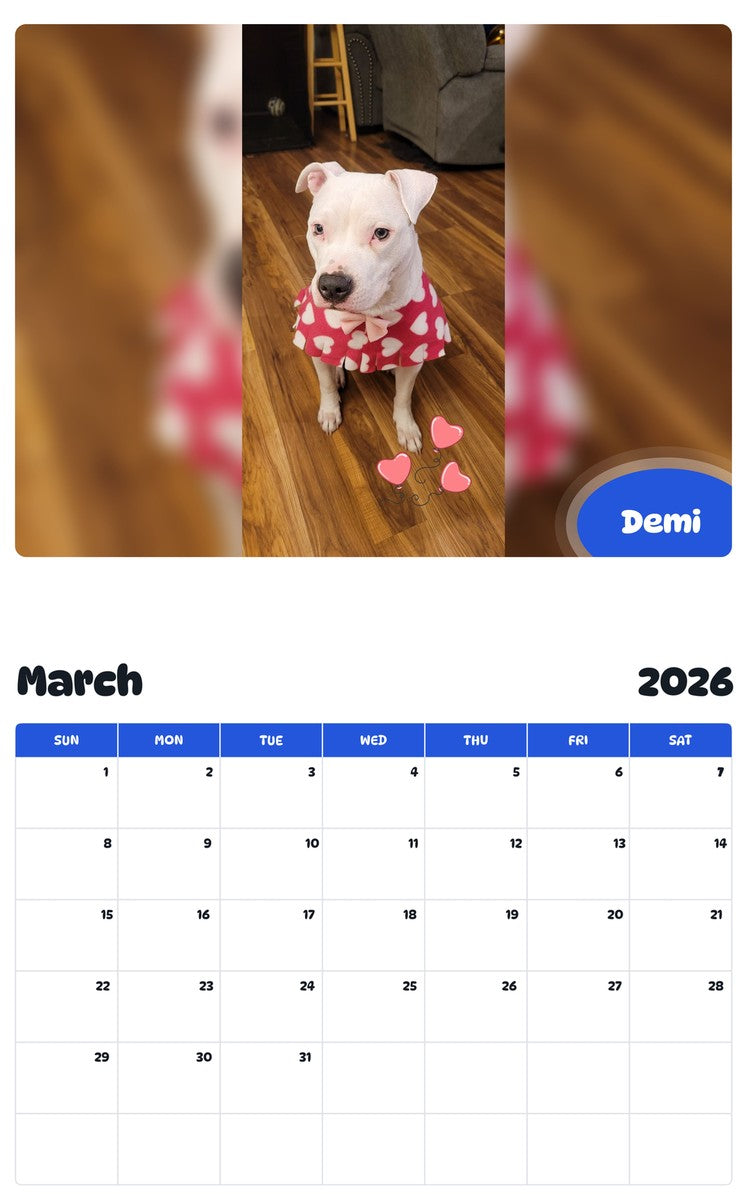 November 2025 - October 2026 Demi - Pawidols Pet Calendar