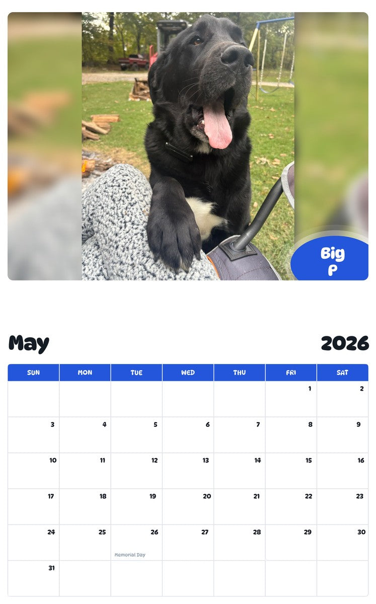 2026 - 2027 Big P - Pawidols Pet Calendar