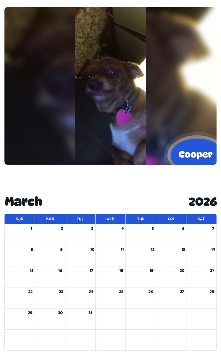 November 2025 - October 2026 Cooper - Pawidols Pet Calendar