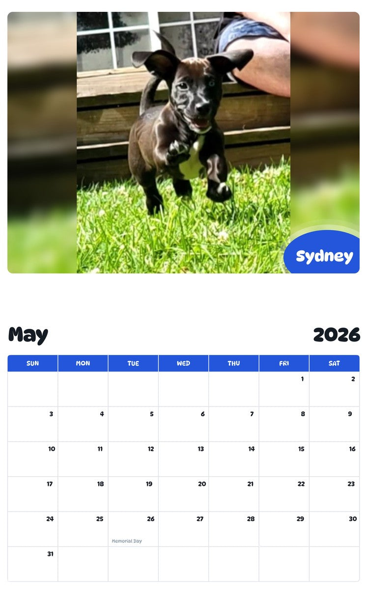 2026 - 2027 Sydney - Pawidols Pet Calendar