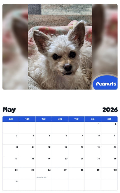 2026 - 2027 Peanuts - Pawidols Pet Calendar