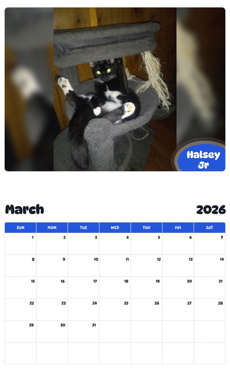 November 2025 - October 2026 Halsey Jr - Pawidols Pet Calendar