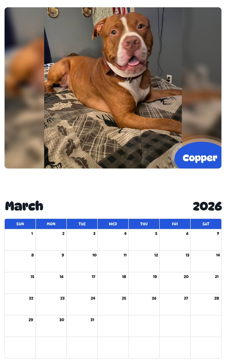 November 2025 - October 2026 Copper - Pawidols Pet Calendar