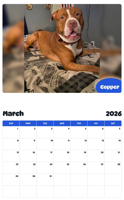 November 2025 - October 2026 Copper - Pawidols Pet Calendar