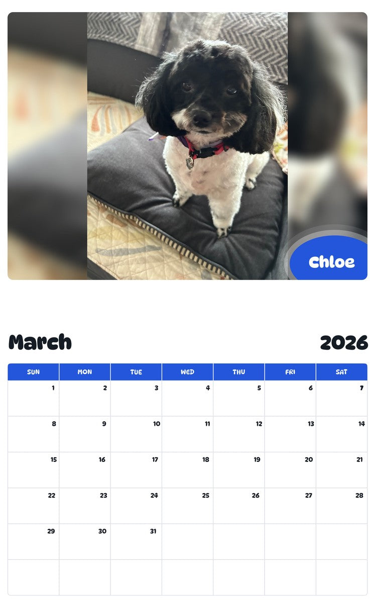 November 2025 - October 2026 Chloe - Pawidols Pet Calendar