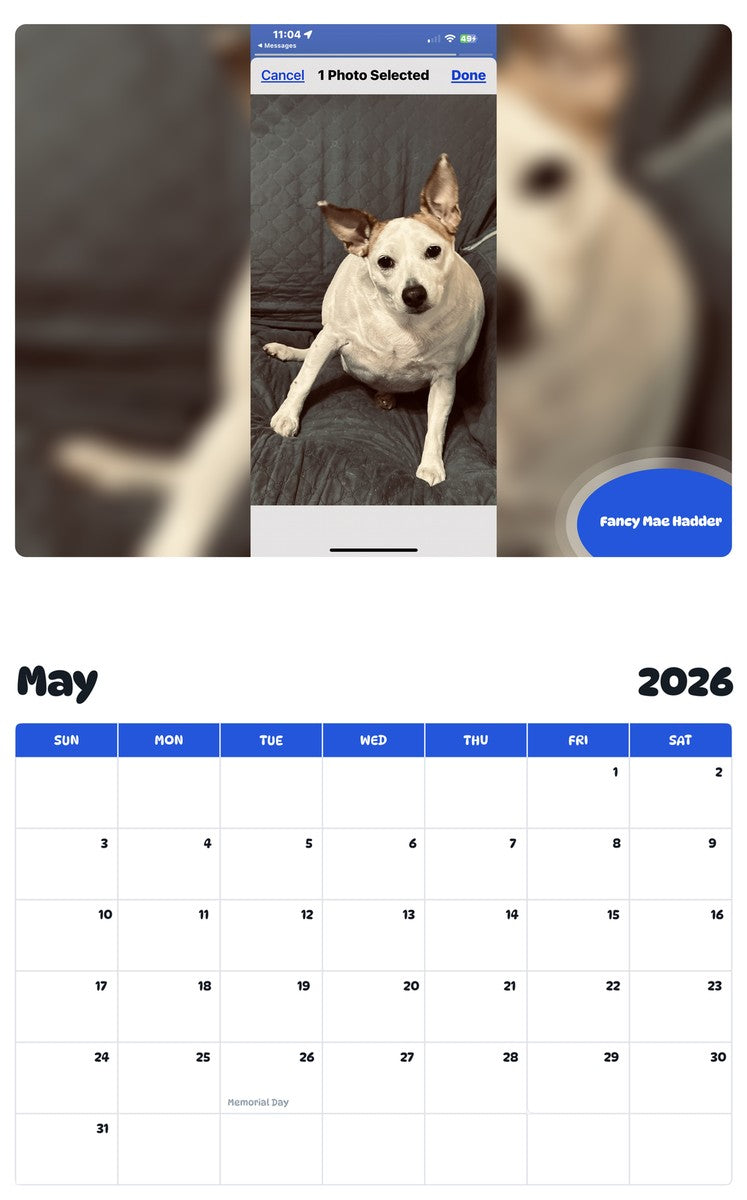 2026 - 2027 Fancy Mae Hadder - Pawidols Pet Calendar