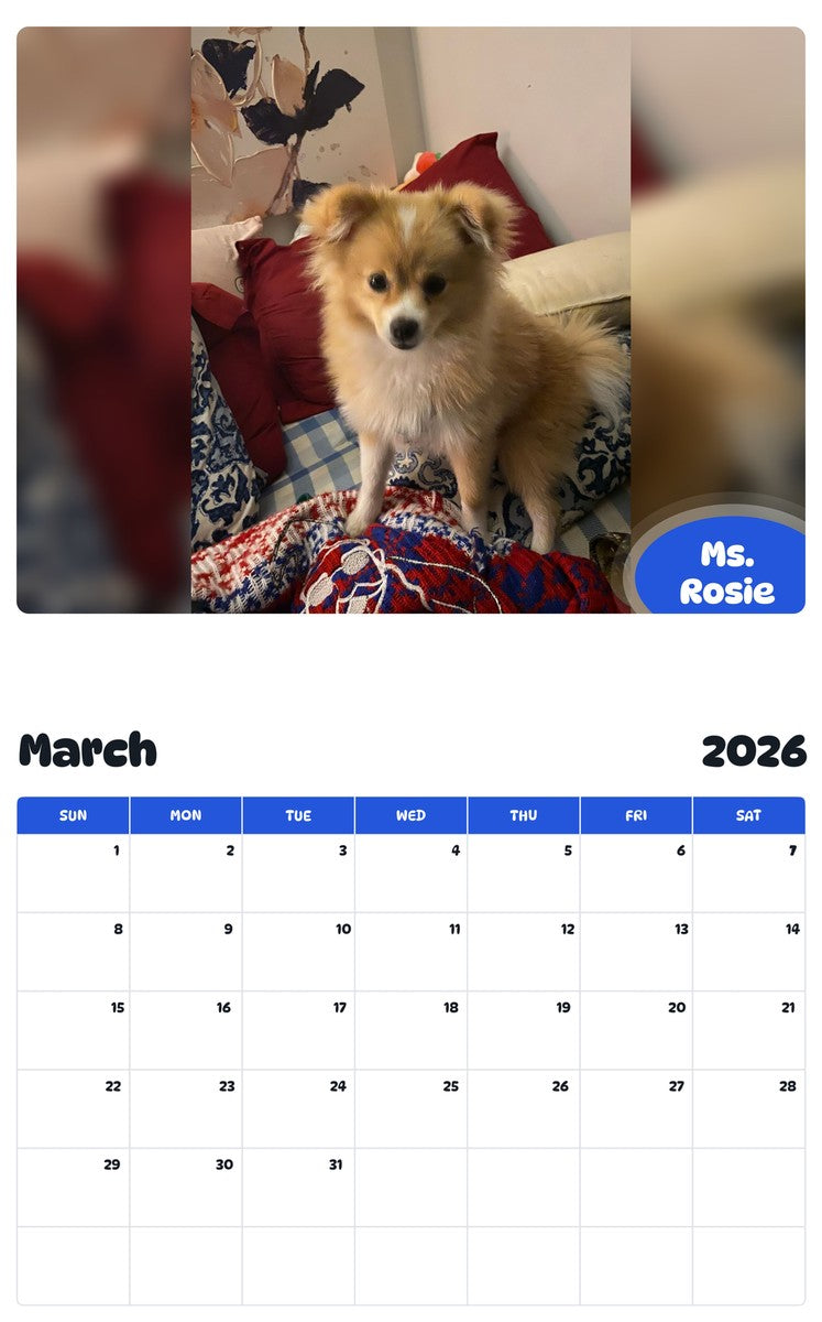 November 2025 - October 2026 Ms. Rosie - Pawidols Pet Calendar