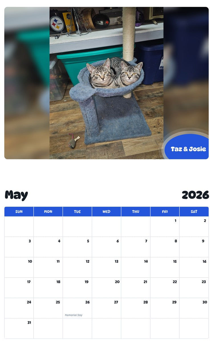2026 - 2027 Taz & Josie - Pawidols Pet Calendar
