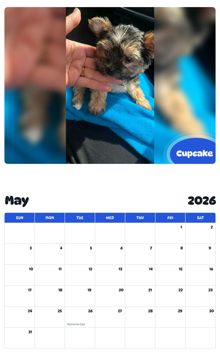 2026 - 2027 Cupcake - Pawidols Pet Calendar