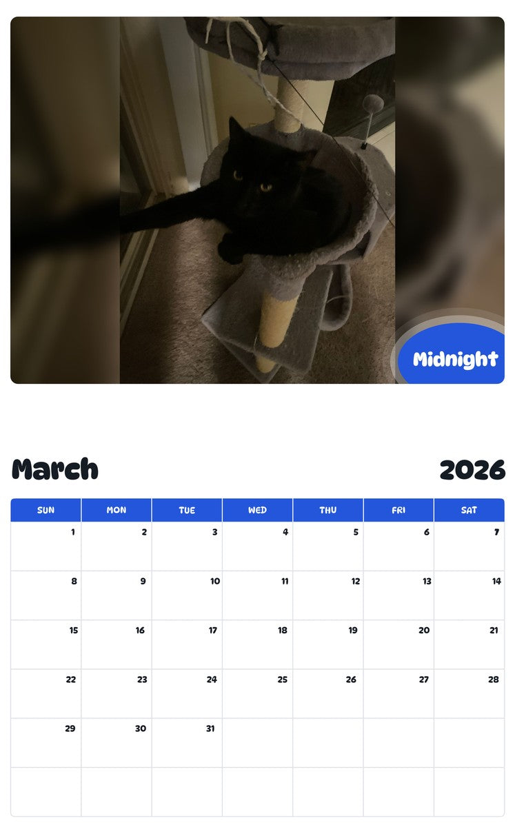 November 2025 - October 2026 Midnight - Pawidols Pet Calendar