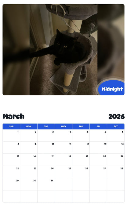 November 2025 - October 2026 Midnight - Pawidols Pet Calendar