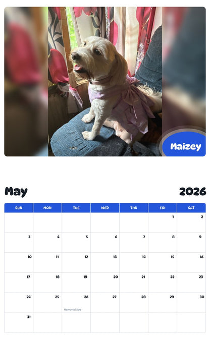 2026 - 2027 Maizey - Pawidols Pet Calendar