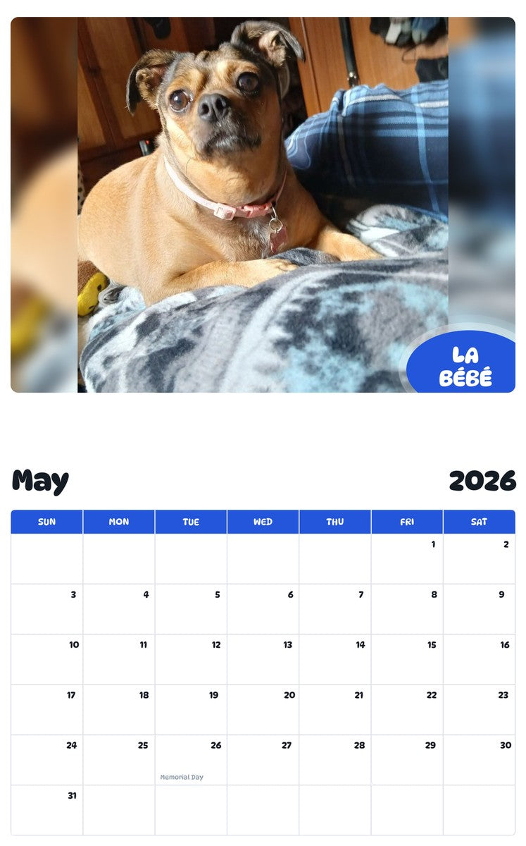 2026 - 2027 LA BÉBÉ - Pawidols Pet Calendar