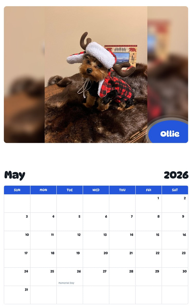 2026 - 2027 Ollie - Pawidols Pet Calendar