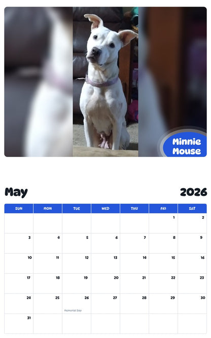 2026 - 2027 Minnie Mouse - Pawidols Pet Calendar