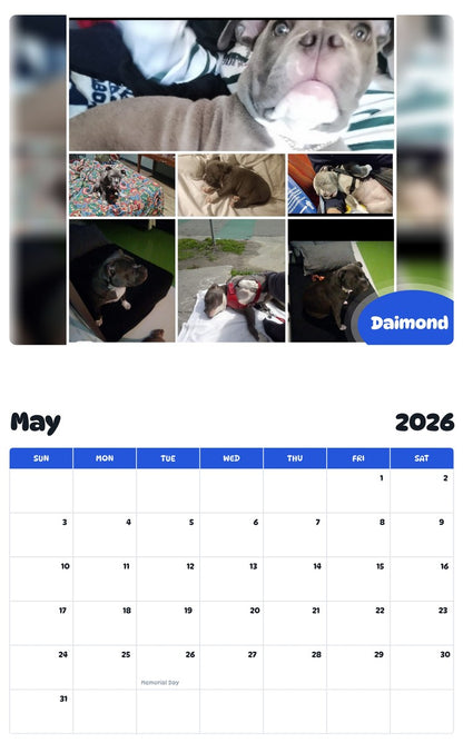 2026 - 2027 Daimond - Pawidols Pet Calendar