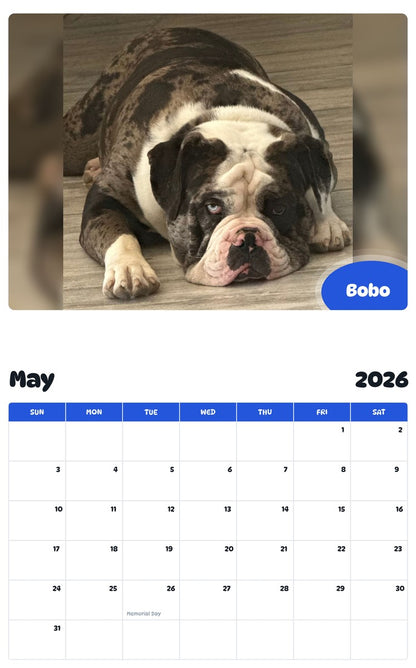 2026 - 2027 Bobo - Pawidols Pet Calendar