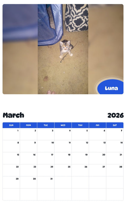 November 2025 - October 2026 Luna - Pawidols Pet Calendar